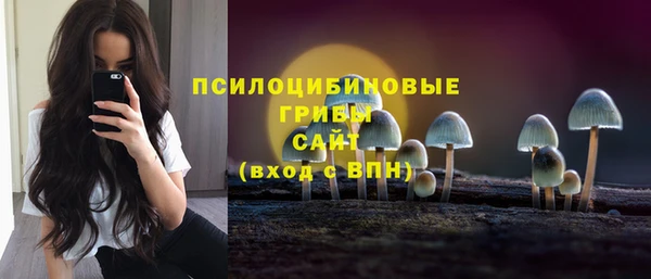 ALPHA PVP Беломорск