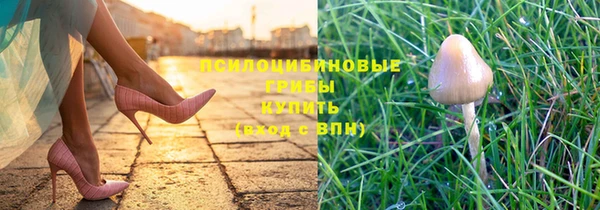 марихуана Белокуриха